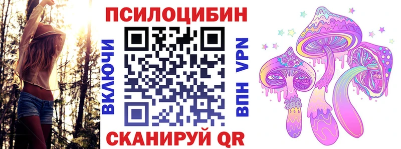 Псилоцибиновые грибы мицелий  Купить где  Александровск 