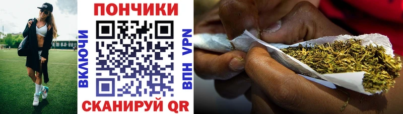 Купить закладки  Александровск  Канабис марихуана 